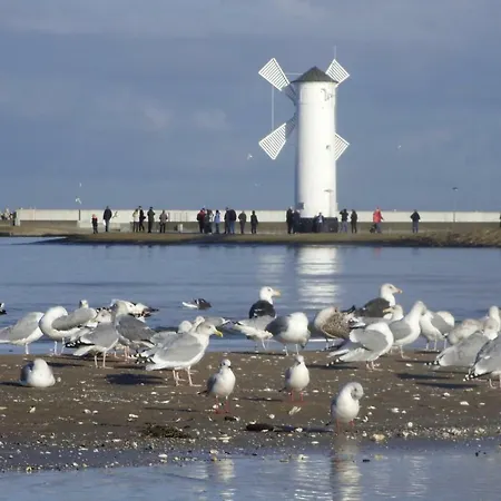 Mieszkania Wakacyjne U Aniola 슈비노우이스쳬
